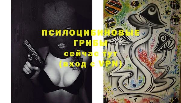 2c-b Грязовец