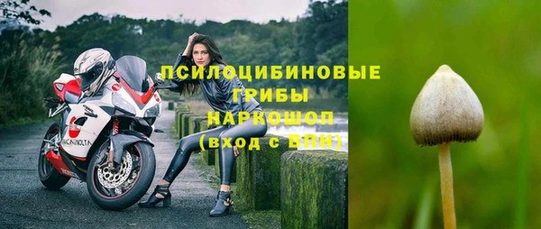 стафф Пролетарск