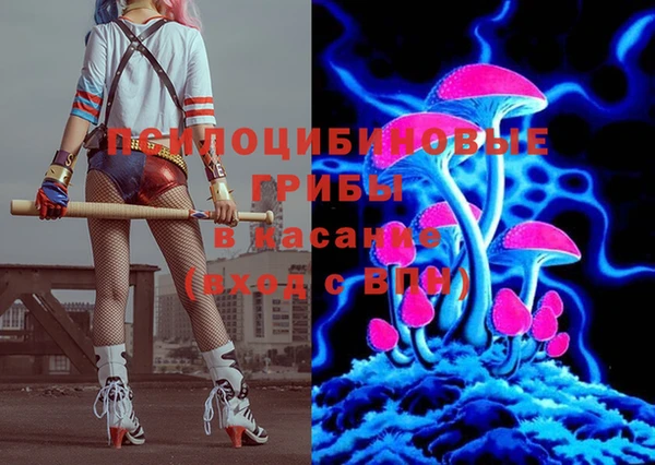 дживик Покров