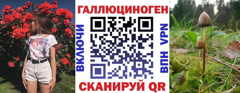 darknet какой сайт Котлас Псилоцибиновые грибы Cubensis