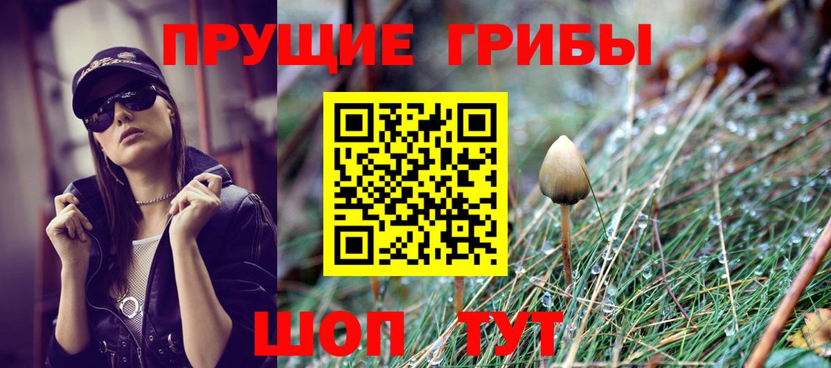 Котлас  Галлюциногенные грибы Cubensis  Вход с VPN  Галлюциногенные грибы GOLDEN TEACHER 