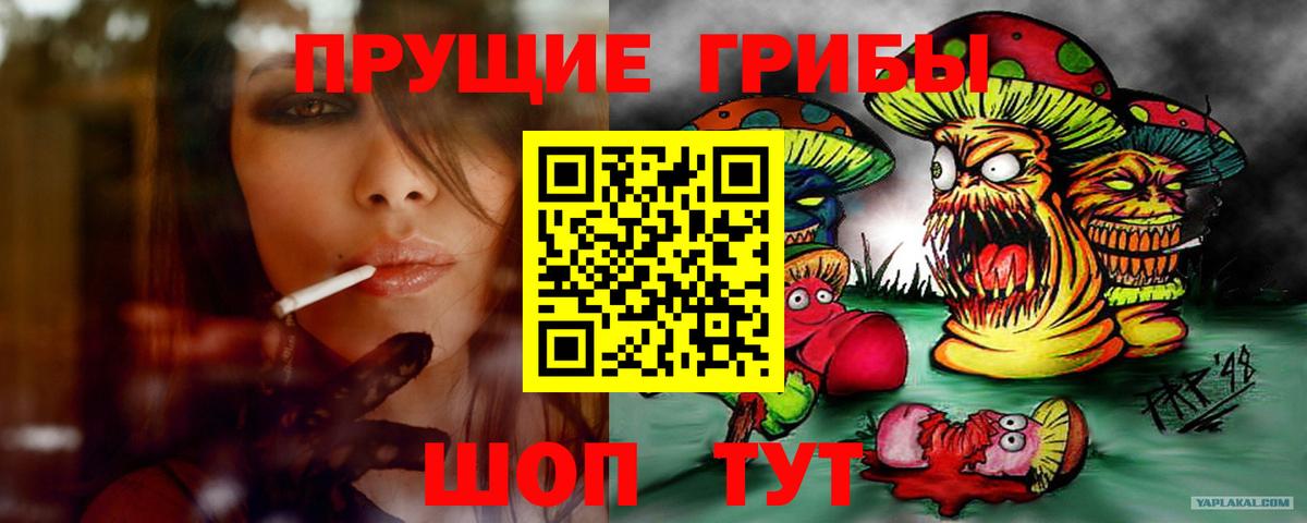 Псилоцибиновые грибы мицелий Котлас